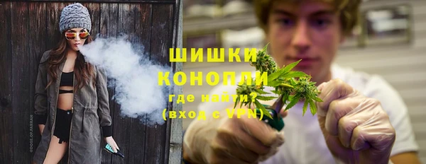 спиды Богородицк