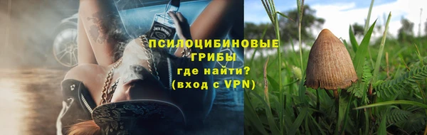 спиды Богданович