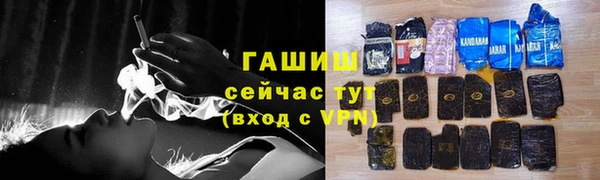 спиды Богданович