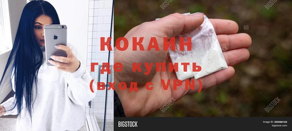 спиды Богданович