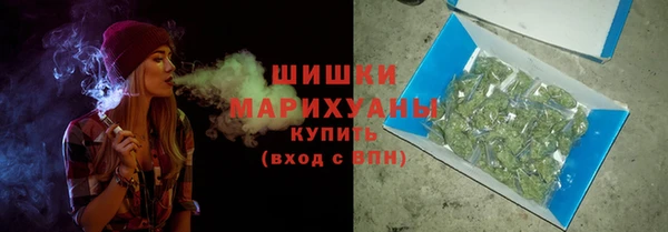 прущие грибы Белокуриха
