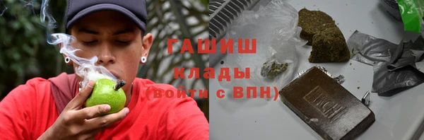 прущие грибы Белокуриха