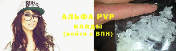 PSILOCYBIN Богородск