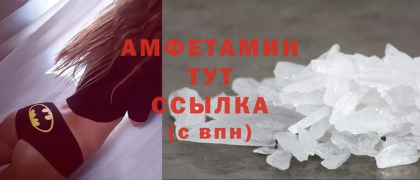 спиды Богородицк