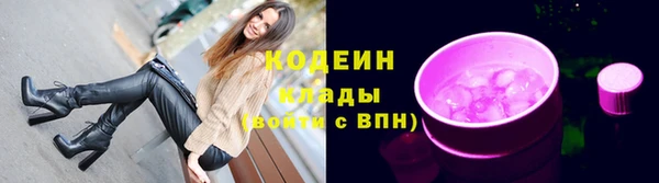 спиды Богородицк