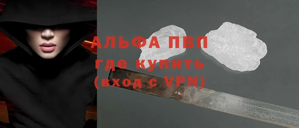 спиды Богородицк