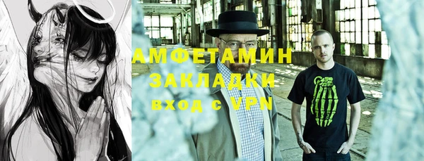 прущие грибы Белокуриха