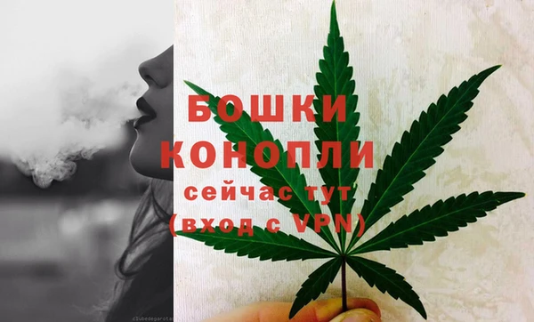 спайс Беломорск