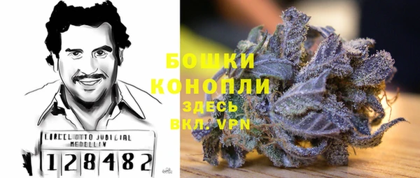 PSILOCYBIN Богородск
