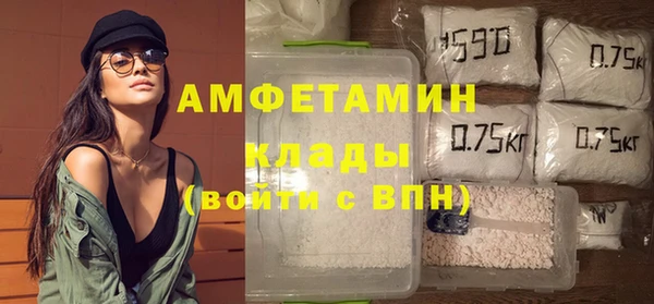 спиды Богданович