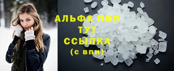 спиды Богданович