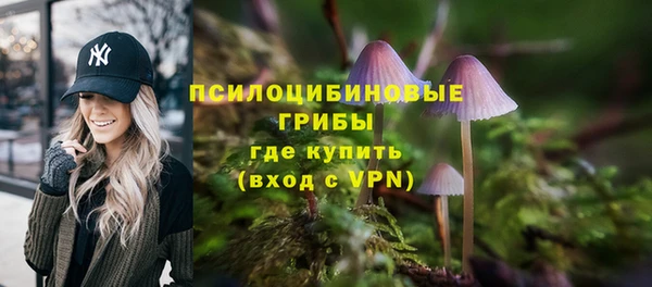 прущие грибы Белокуриха