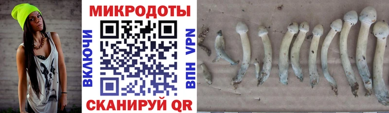 Галлюциногенные грибы мицелий Купить Туймазы
